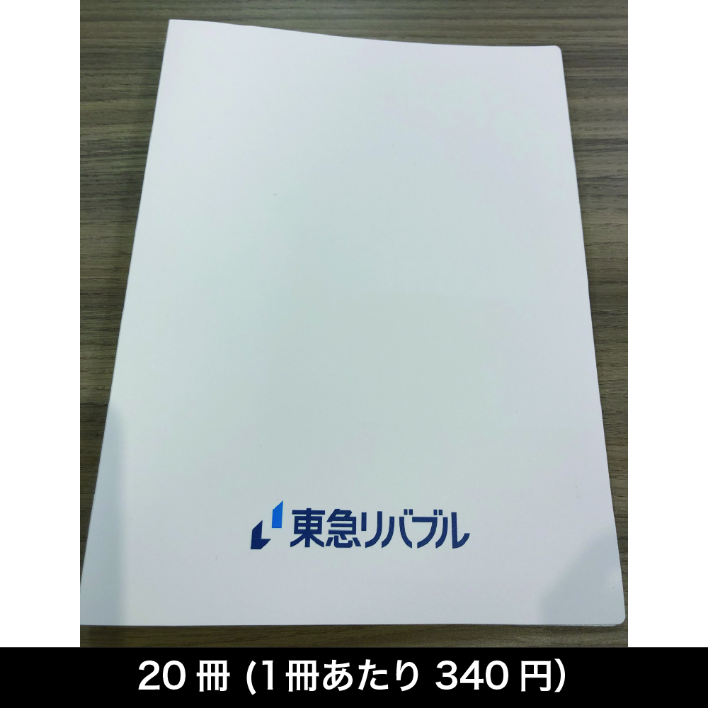 査定書ファイル 20ポケットファイル　【配送グループH】
